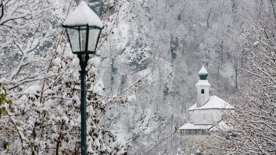 Prišla je novoletna jelka
