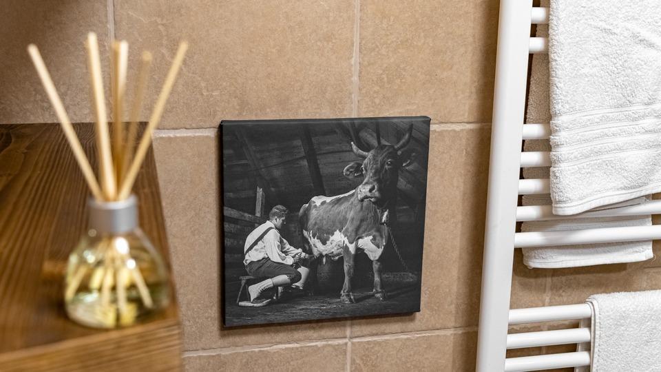 Fotografija v galeriji #23 