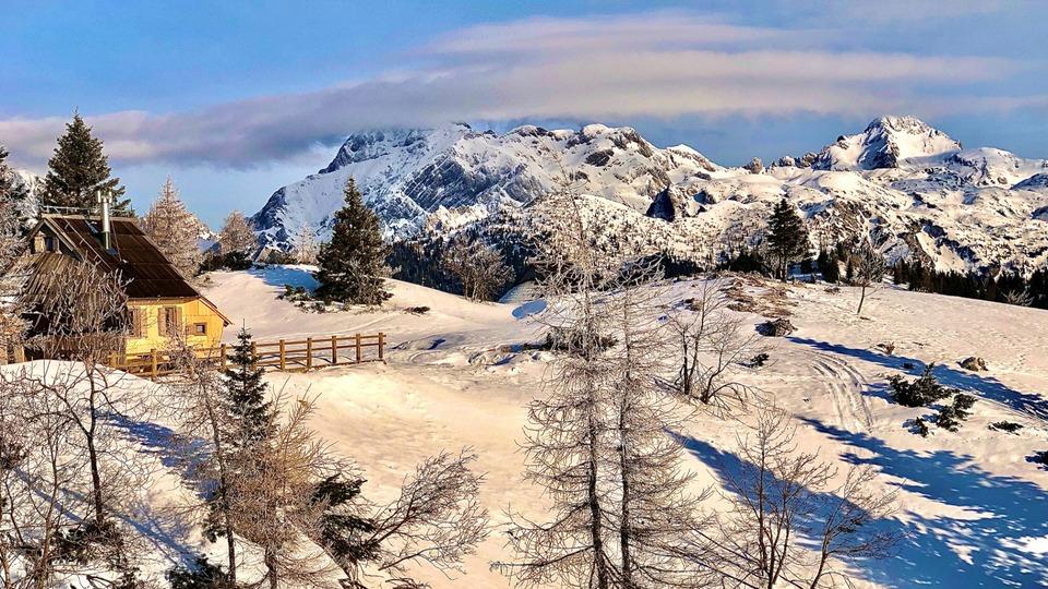 Fotografija v galeriji #6 